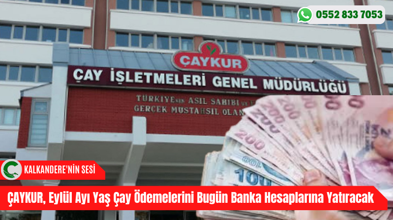 ÇAYKUR, Eylül Ayı Yaş Çay Ödemelerini Bugün Banka Hesaplarına Yatıracak