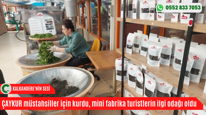 ÇAYKUR müstahsiller için kurdu, mini fabrika turistlerin ilgi odağı oldu