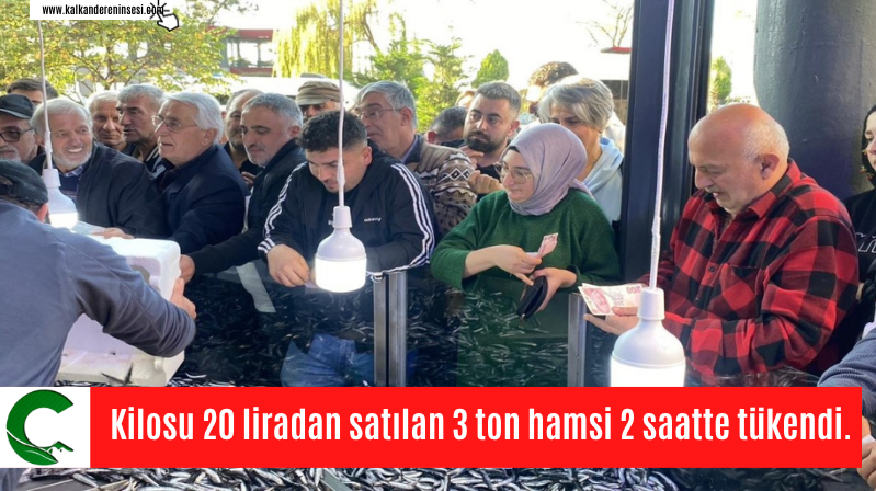 Kilosu 20 liradan satılan 3 ton hamsi 2 saatte tükendi