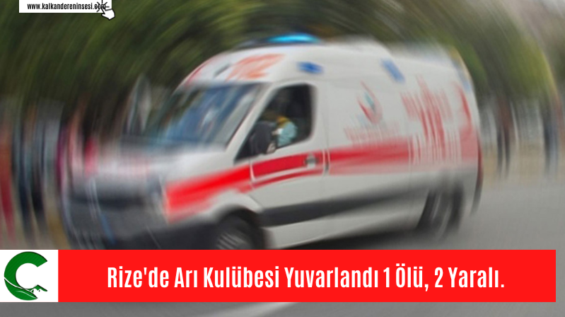 Rize’de Arı Kulübesi Yuvarlandı 1 Ölü, 2 Yaralı