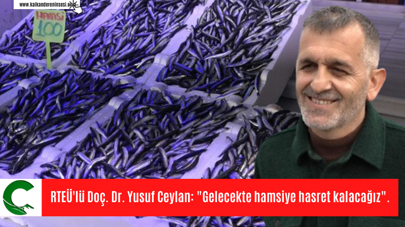 RTEÜ’lü Doç. Dr. Yusuf Ceylan: “Gelecekte hamsiye hasret kalacağız”